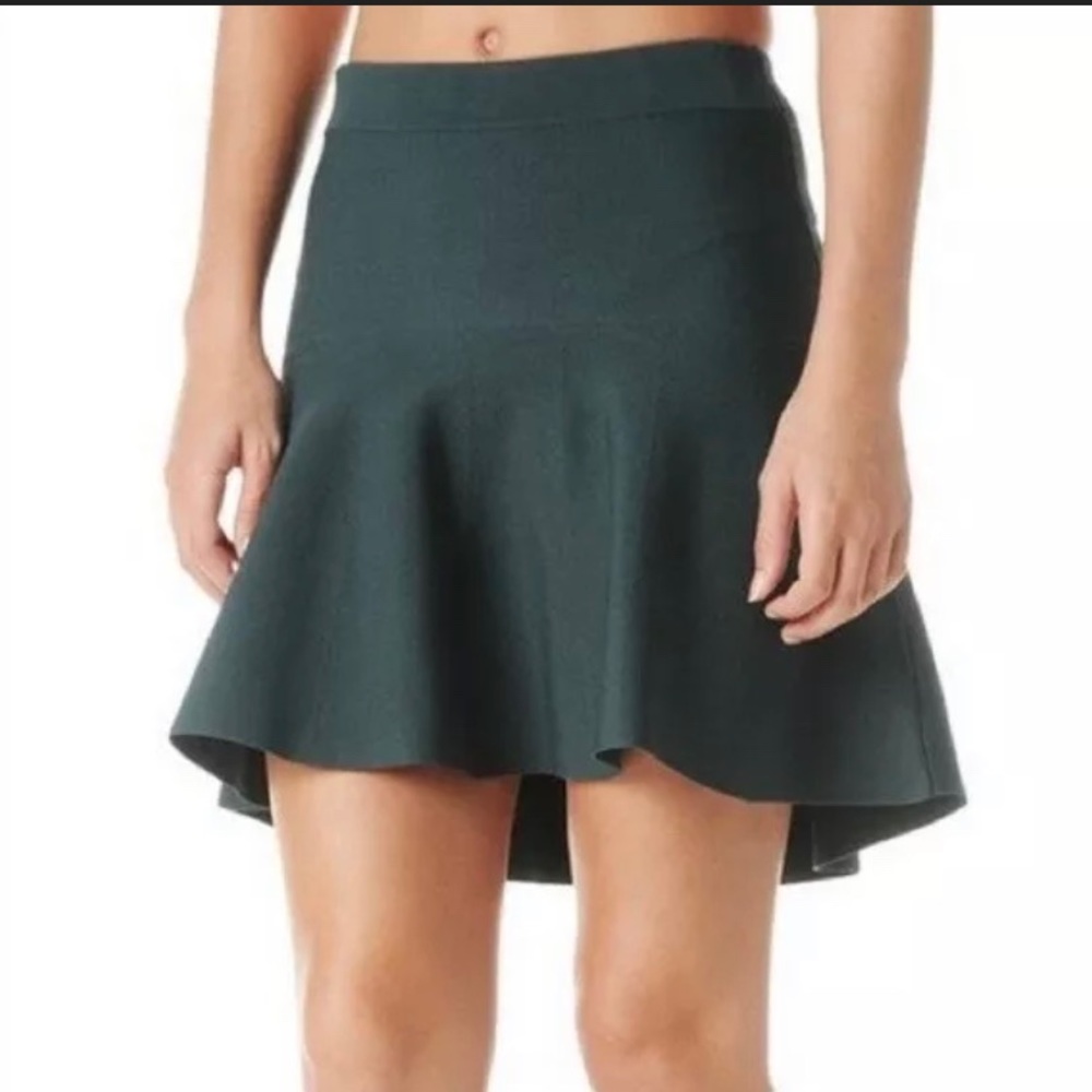Parker Flare Skirt